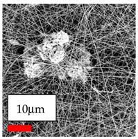 Polymers 17 03019 i112