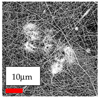 Polymers 17 03019 i113