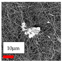 Polymers 17 03019 i114