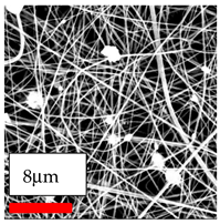 Polymers 17 03019 i116