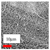 Polymers 17 03019 i119