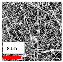 Polymers 17 03019 i121