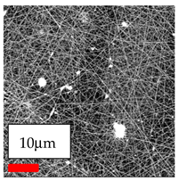 Polymers 17 03019 i122