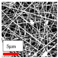 Polymers 17 03019 i124