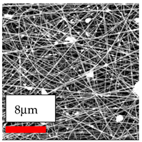 Polymers 17 03019 i125