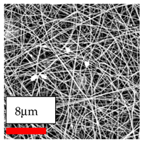 Polymers 17 03019 i127