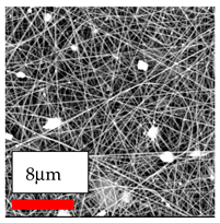 Polymers 17 03019 i128