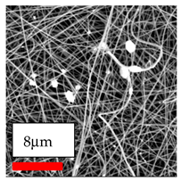 Polymers 17 03019 i129