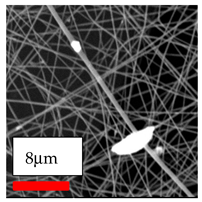 Polymers 17 03019 i130