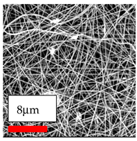Polymers 17 03019 i131