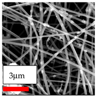 Polymers 17 03019 i134