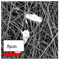 Polymers 17 03019 i135