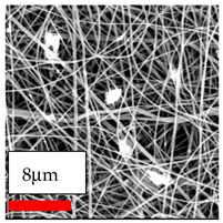 Polymers 17 03019 i136
