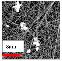 Polymers 17 03019 i137
