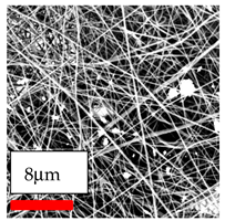 Polymers 17 03019 i138