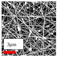 Polymers 17 03019 i140