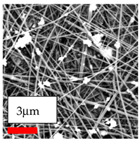Polymers 17 03019 i141