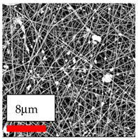 Polymers 17 03019 i142