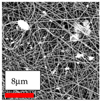 Polymers 17 03019 i143