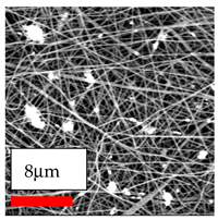 Polymers 17 03019 i145