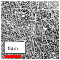 Polymers 17 03019 i146