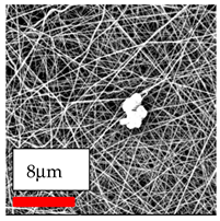 Polymers 17 03019 i147