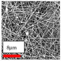 Polymers 17 03019 i148