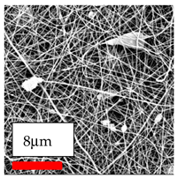 Polymers 17 03019 i149