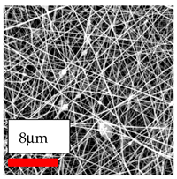 Polymers 17 03019 i150