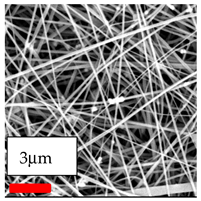 Polymers 17 03019 i151