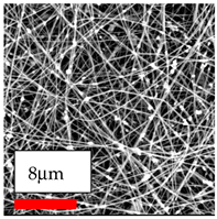 Polymers 17 03019 i152
