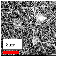 Polymers 17 03019 i154