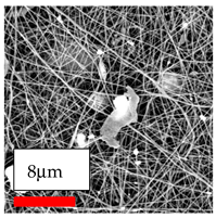 Polymers 17 03019 i155