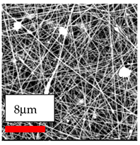 Polymers 17 03019 i156