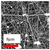 Polymers 17 03019 i157