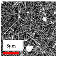 Polymers 17 03019 i158