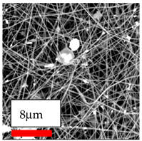 Polymers 17 03019 i159