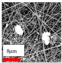 Polymers 17 03019 i160