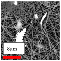 Polymers 17 03019 i161