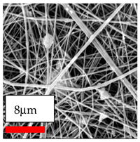 Polymers 17 03019 i162