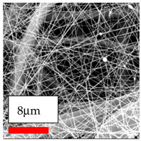 Polymers 17 03019 i164