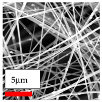 Polymers 17 03019 i165