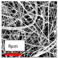 Polymers 17 03019 i166