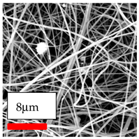 Polymers 17 03019 i167