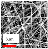 Polymers 17 03019 i168