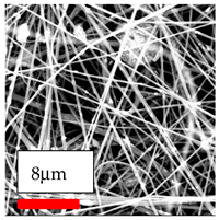 Polymers 17 03019 i169