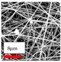 Polymers 17 03019 i170