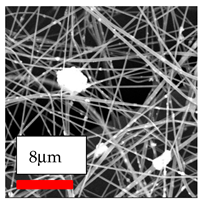 Polymers 17 03019 i171