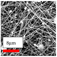 Polymers 17 03019 i172