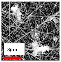 Polymers 17 03019 i173